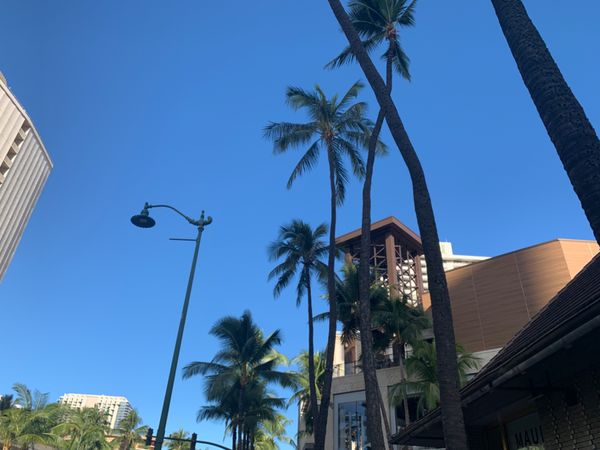 アメリカ(米国)・honolulu「ハワイ旅行」の写真：Waikiki🌴✨✨
