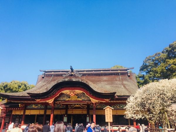 日本「福岡」の写真：大宰府天満宮
竈門神社