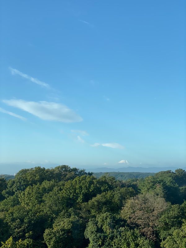 日本・埼玉「モンスタージャムを見に西武ドームへ」の写真：ホテル「掬水亭」からの富士山。