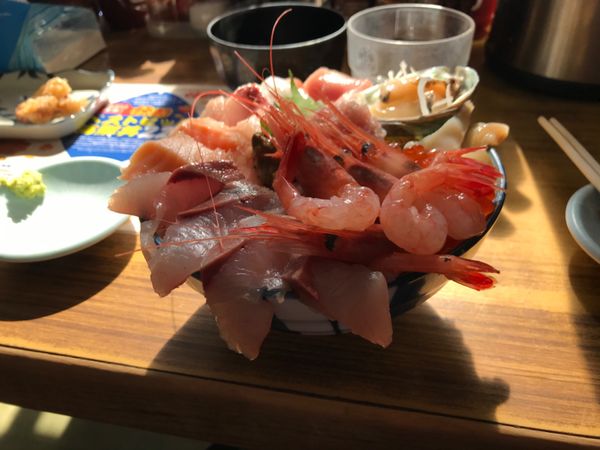 日本・北海道千歳市「日帰り北海道」の写真：海鮮丼に支笏湖に引き馬