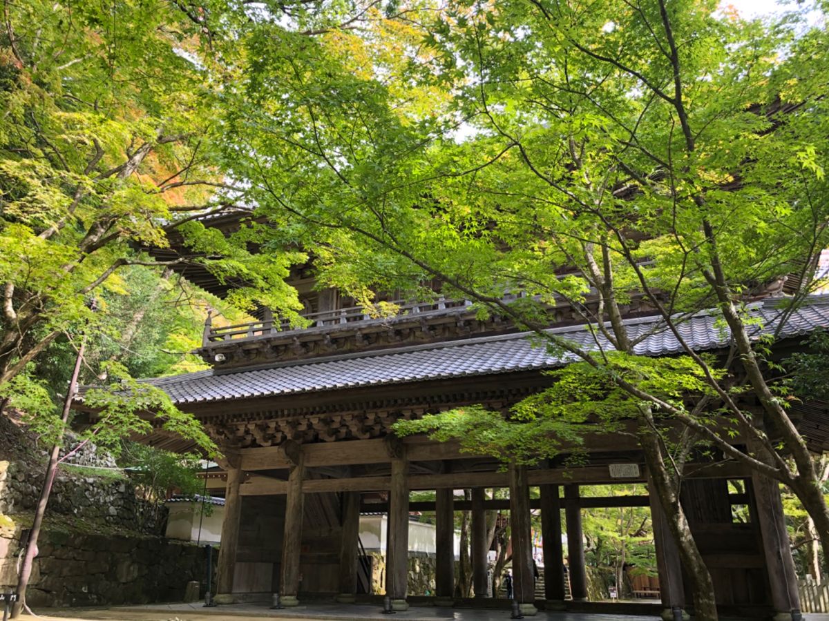 滋賀の紅葉の名所の一つ、永源寺。まだ紅葉は色付き始めたばかりでした。今年は...