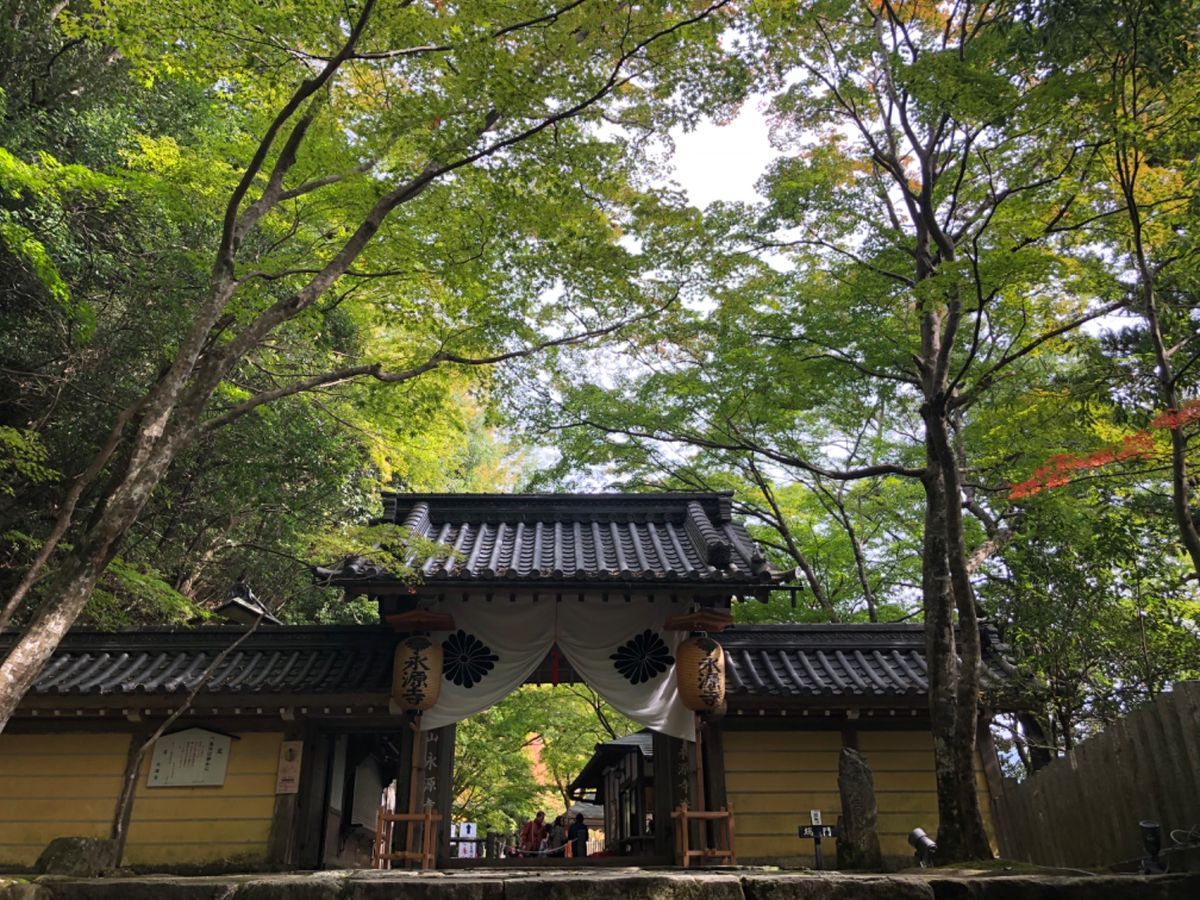 滋賀の紅葉の名所の一つ、永源寺。まだ紅葉は色付き始めたばかりでした。今年は...