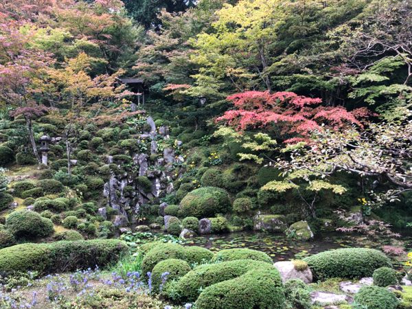 日本・滋賀県「東近江紅葉狩り」の写真：湖東三山の一つ金剛輪寺。こちらの紅葉もま...