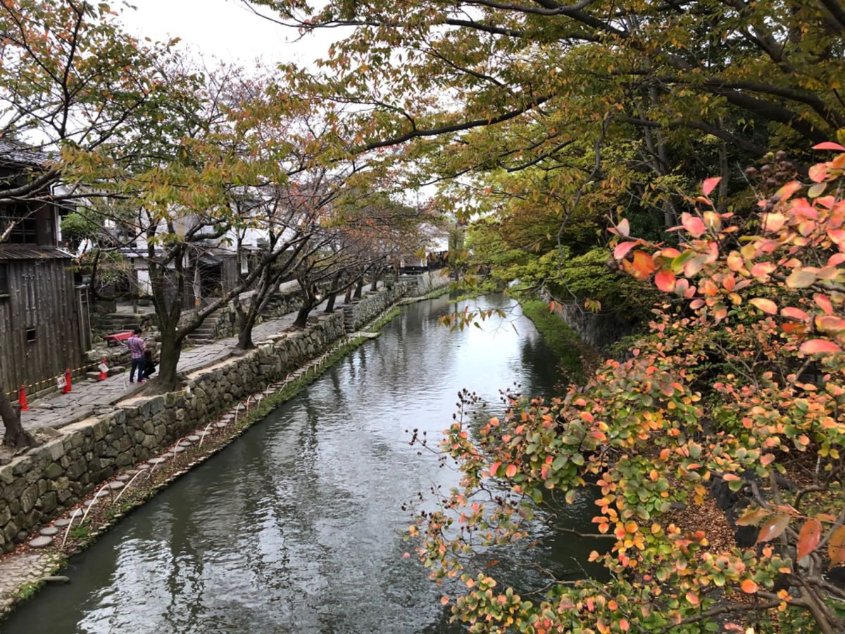 午後は江戸期の街並みを残している近江八幡へ。落ち着いたいい雰囲気の街でしたね。