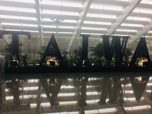 台湾「初海外★台湾💕」の写真：到着後。わくわく