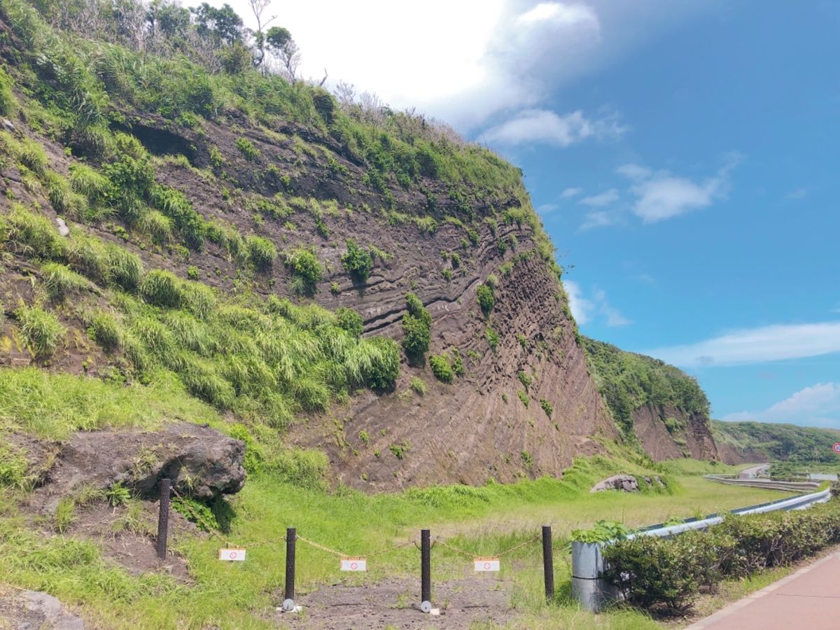 べっこう寿司、椿オイル、たい焼きや、地層