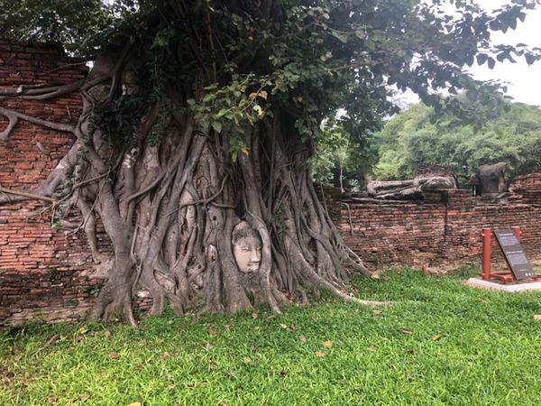 タイ「タイ　チェンマイ、バンコク」の写真