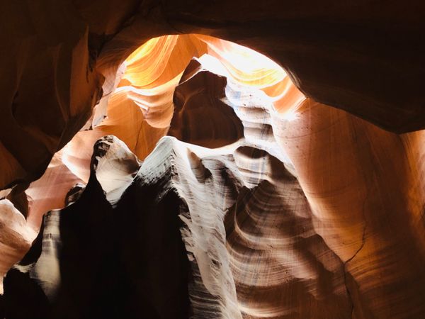 アメリカ(米国)「アメリカ　アリゾナ州」の写真