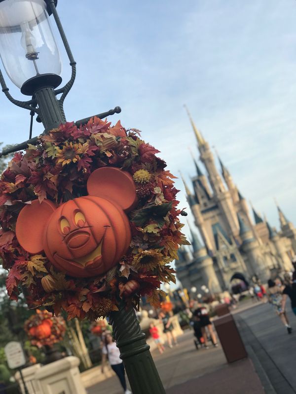 アメリカ(米国)「アメリカ　フロリダ」の写真