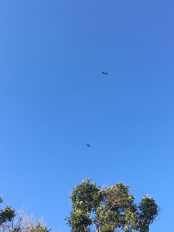 日本・静岡県「静岡。」の写真