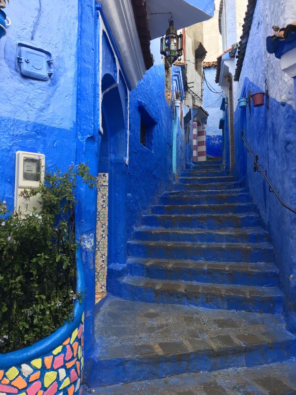 モロッコ・カサブランカ、フェズ、シェフシャウエン、マラケシュ、メルズーガ「Morocco」の写真