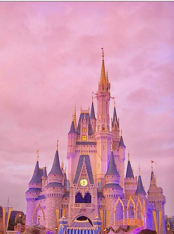 アメリカ(米国)「初WDW旅行」の写真