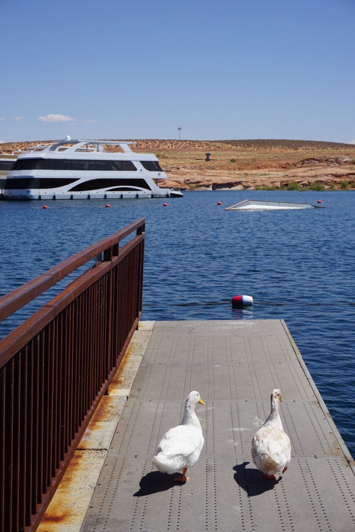 レイクパウエル！