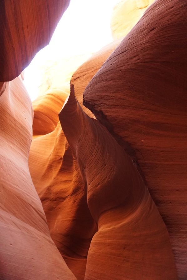 アメリカ(米国)・モニュメントバレー、ロウワーアンテロープキャニオン、ホースシューベント、グランドキャニオン、レイクパウエル、エレファントフィート「ロードトリップ！グランドサークルを巡る旅！」の写真：鉄砲水によりできたと言われるアンテロープ...