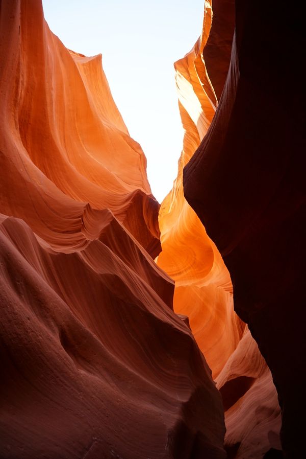 アメリカ(米国)・モニュメントバレー、ロウワーアンテロープキャニオン、ホースシューベント、グランドキャニオン、レイクパウエル、エレファントフィート「ロードトリップ！グランドサークルを巡る旅！」の写真：アンテロープキャニオン！