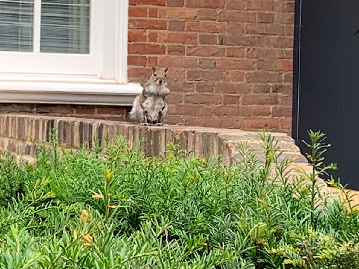 レッドツゥェッペリン　ジミー・ペイジの家。通称タワーハウス。
写真を撮って...