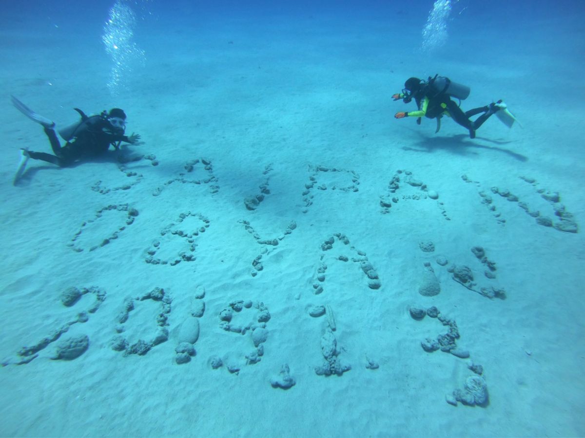 ラウラウビーチのウミガメちゃん♡
アジ玉はいなくなっちゃった。。。