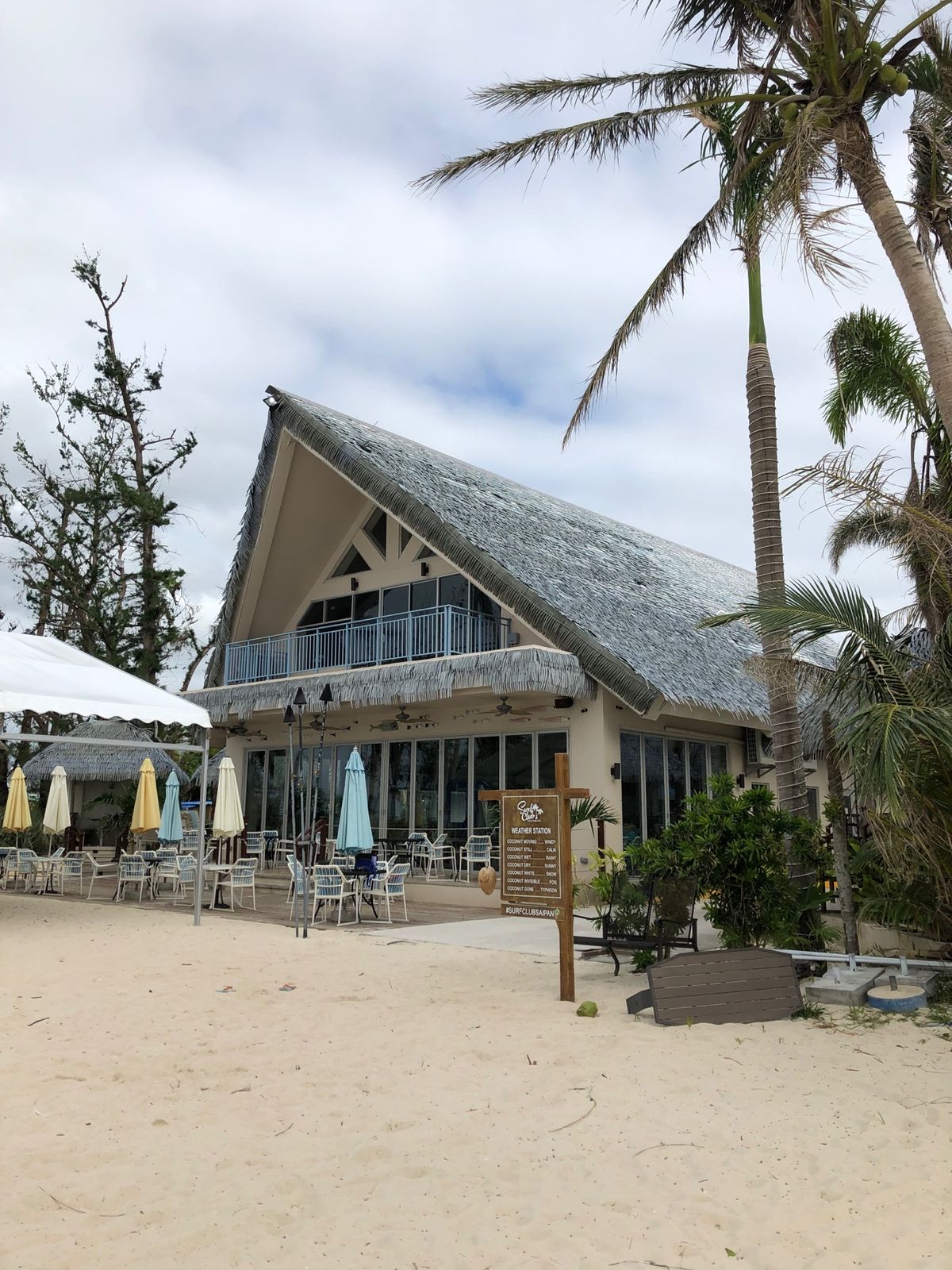 ラウラウビーチのウミガメちゃん♡
アジ玉はいなくなっちゃった。。。