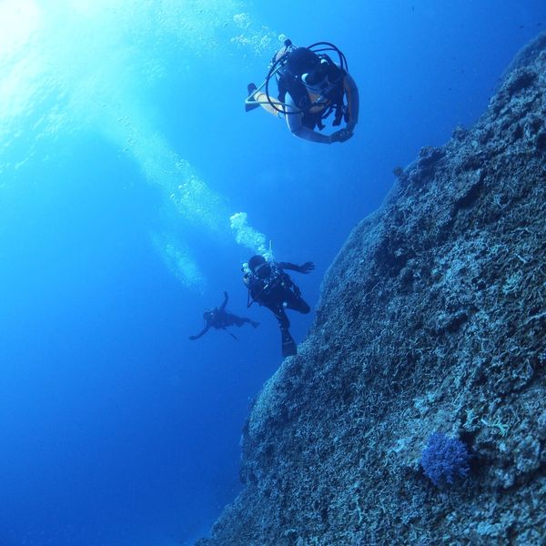 日本・沖縄県「沖縄本島」の写真