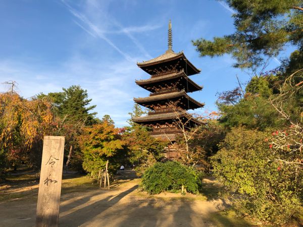 日本・京都「京都・奈良」の写真:仁和寺の五重塔
嵐電は、ちょうど観音電...