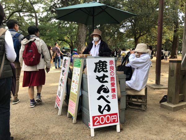 日本・京都「京都・奈良」の写真:興福寺と東大寺の大仏
