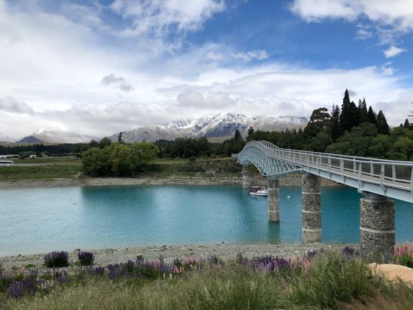 ニュージーランド・クライストチャーチ、テカポ「星空を見たかったニュージーランド」の写真