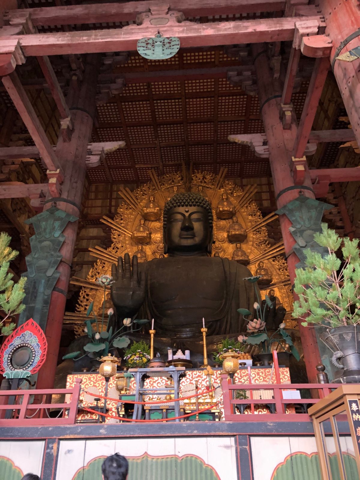 　大仏殿には夕方到着。この時間に行くのは初めてだけと、夕日がとてもステキだ...