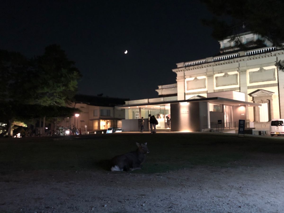 　大仏殿には夕方到着。この時間に行くのは初めてだけと、夕日がとてもステキだ...