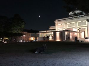 　大仏殿には夕方到着。この時間に行くのは初めてだけと、夕日がとてもステキだ...