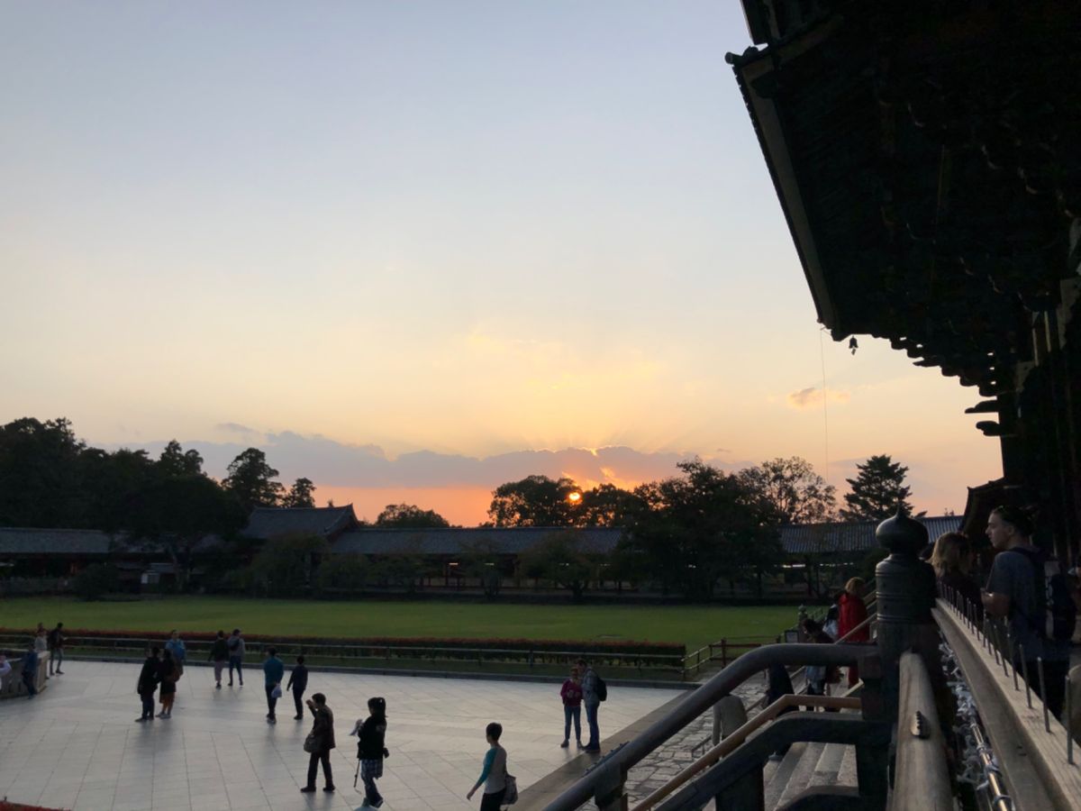 　大仏殿には夕方到着。この時間に行くのは初めてだけと、夕日がとてもステキだ...