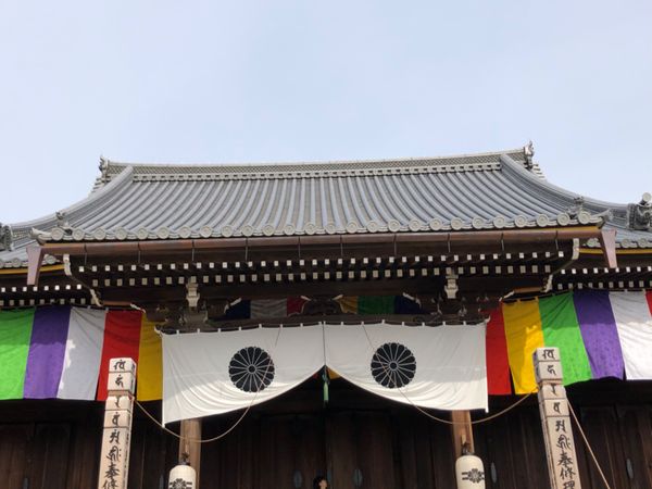 奈良、京都「奈良・京都　2019秋」の写真：　仁和寺の特別拝観。虎屋で亥の子餅とお抹...