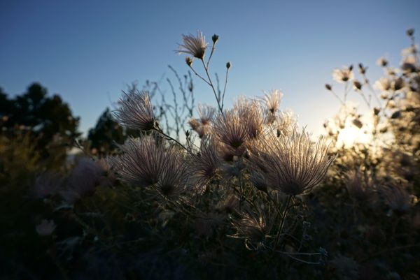 アメリカ(米国)・モニュメントバレー、ロウワーアンテロープキャニオン、ホースシューベント、グランドキャニオン、レイクパウエル、エレファントフィート「ロードトリップ！グランドサークルを巡る旅！」の写真