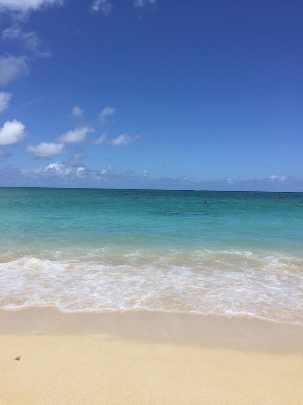 アメリカ(米国)「ハワイ」の写真