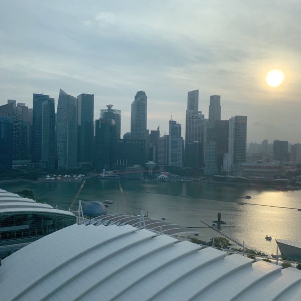 シンガポール「🇸🇬ｼ ﾝ ｶﾞﾎﾟｰ ﾙ」の写真