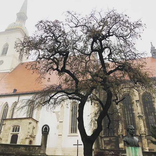 スロバキア「中欧」の写真：このダークな感じたまらない