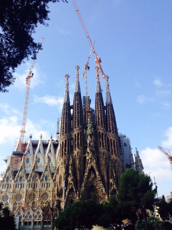 スペイン「スペイン」の写真