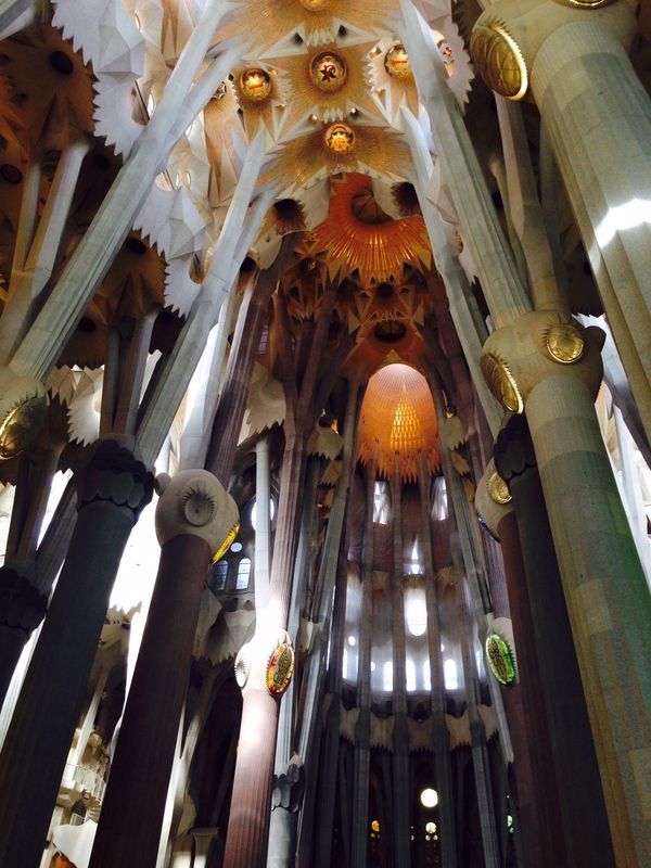 スペイン「スペイン」の写真