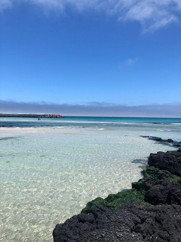 大韓民国 (韓国)・韓国「チェジュ島🇰🇷」の写真