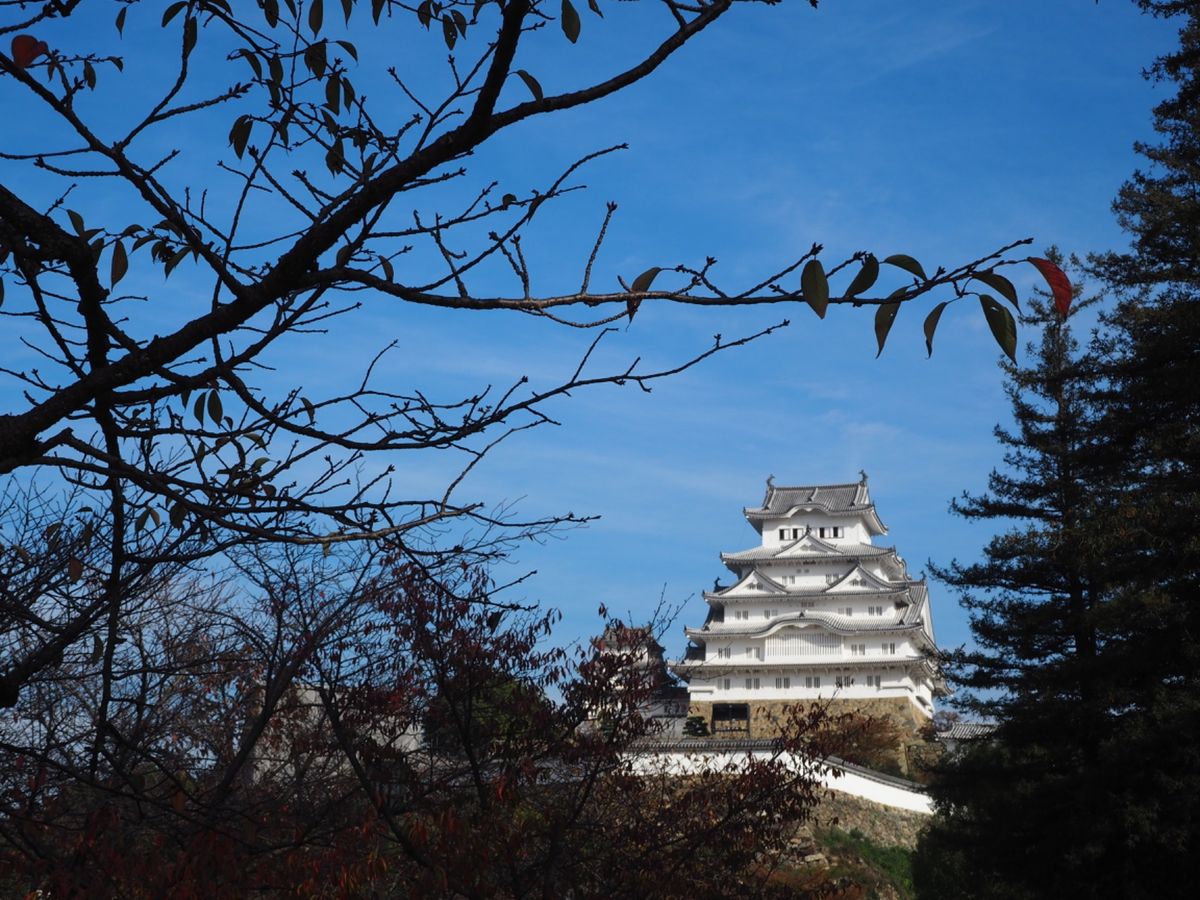 姫路駅から姫路城が見えるのねー。
歩いて姫路城へ。