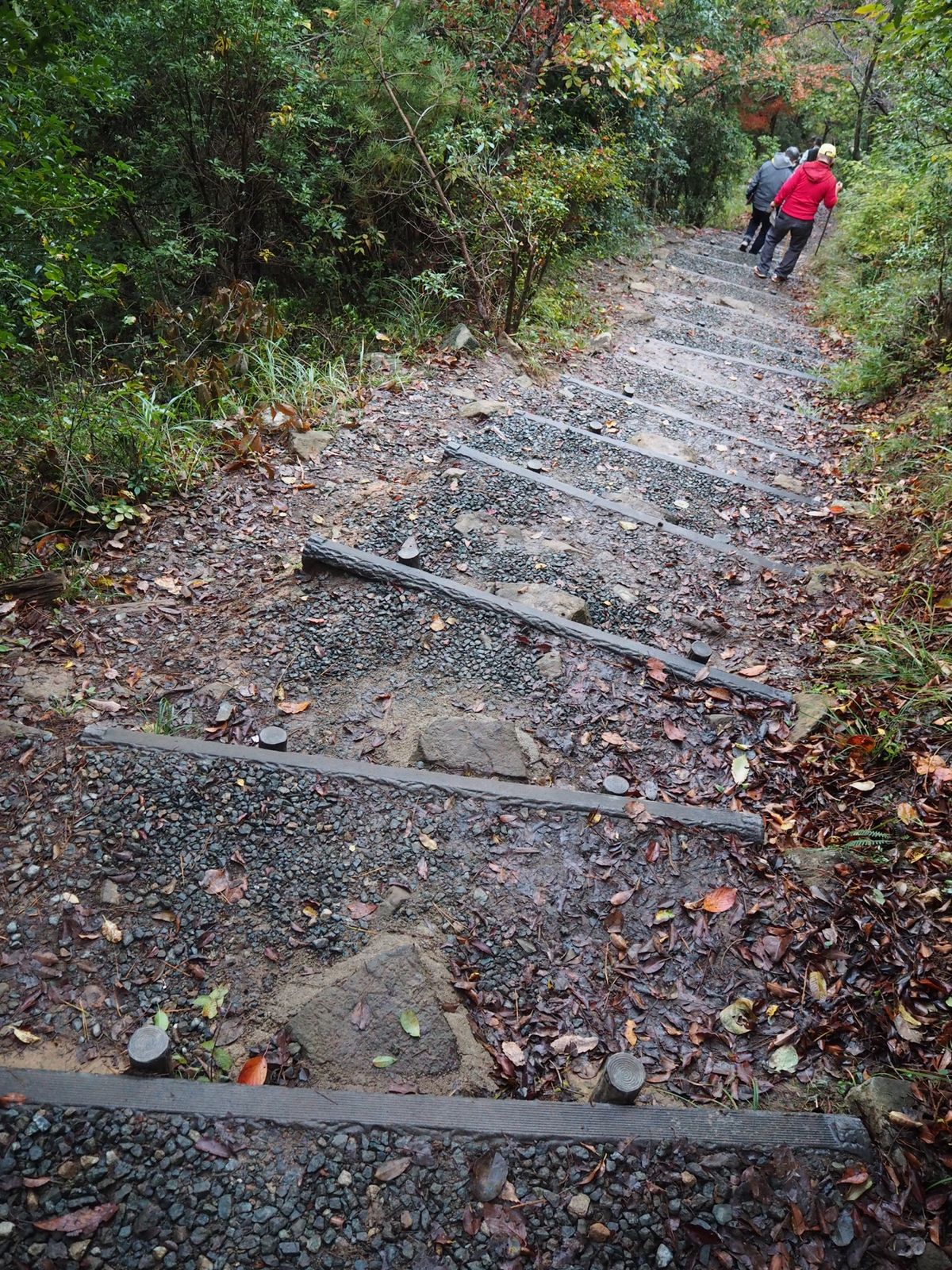 雲海は出なかった。
早々に下山、だんだん晴れてきた。