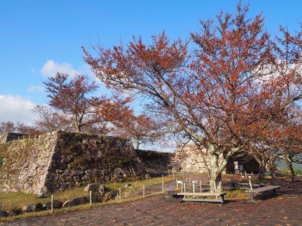 日本・兵庫県「そうだ、竹田城跡の雲海を見に行こう」の写真:約40分で竹田城跡へ。