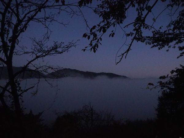 日本・兵庫県「そうだ、竹田城跡の雲海を見に行こう」の写真:雲海見れたー。