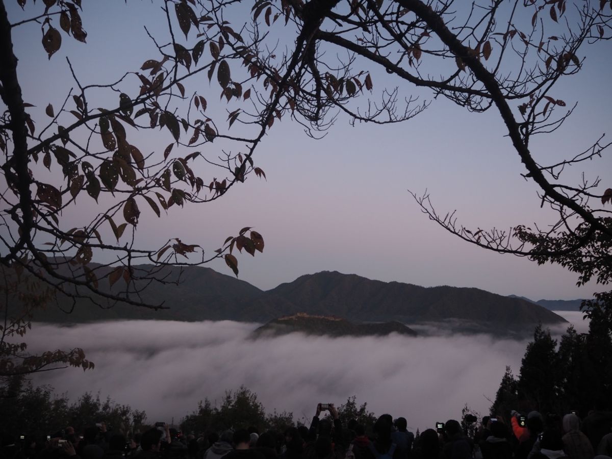雲海見れたー。