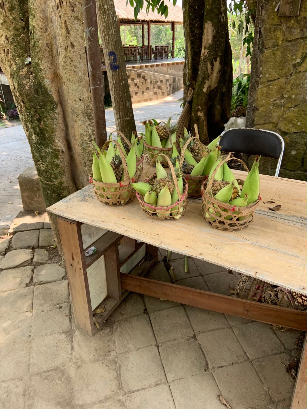 像にも乗りました🐘   乗った後にゾウさんに餌やりも出来ました。