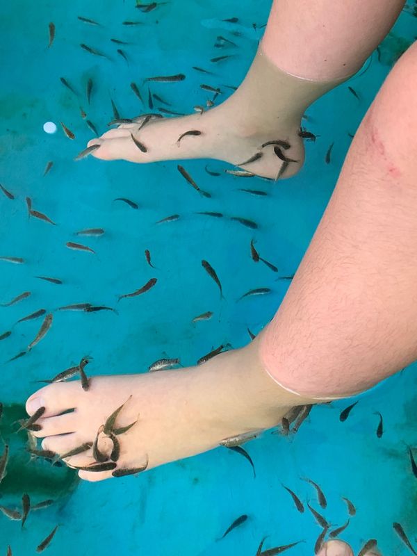 インドネシア・スミニャック、ウブド、ライステラス、ホテルリゾート、エレファントライド「2019 母娘初二人旅  バリ島」の写真：お昼寝してから子供でも楽しめるフィッシュ...