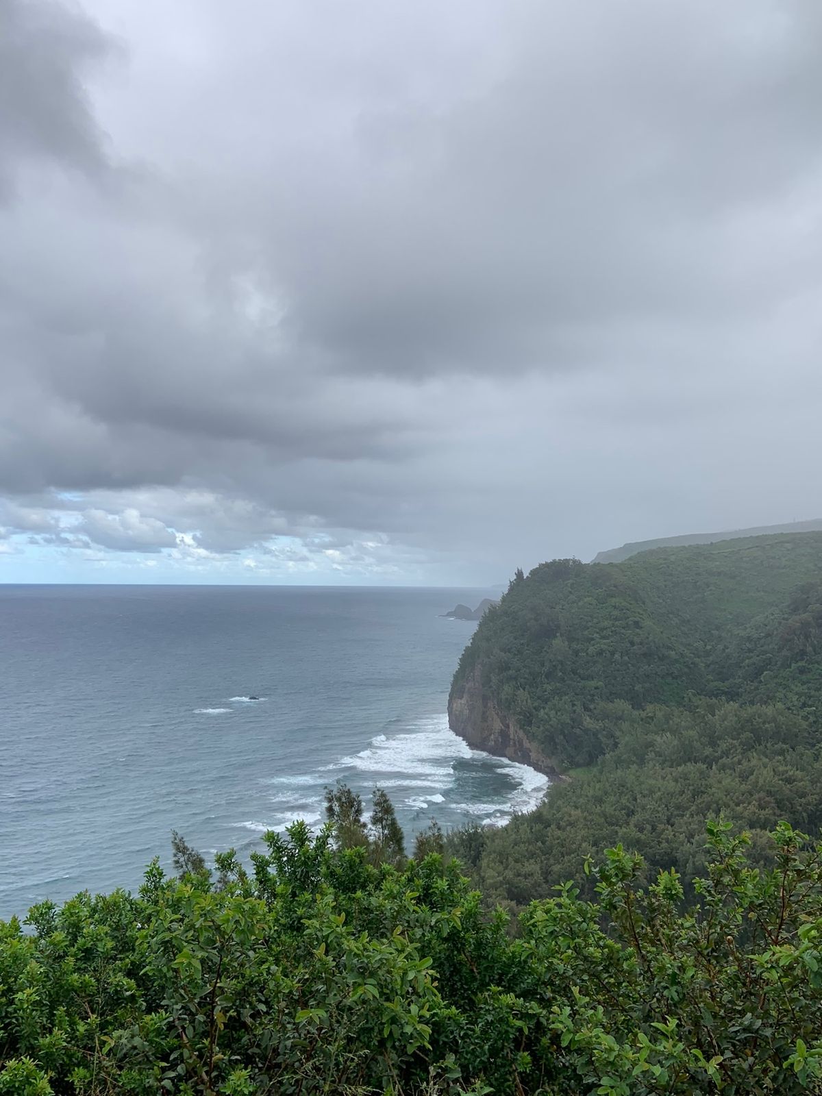 初めて訪れたポロル渓谷。 下に降りるトレイルのコースがあったけど、装備もな...