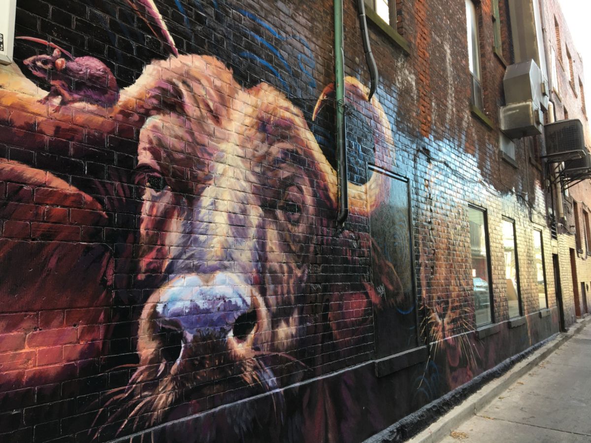 トロントを遊び尽くした