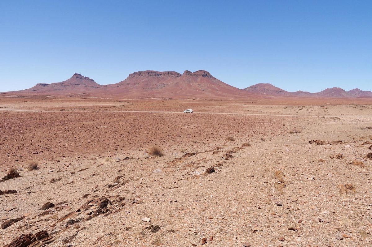 スワコップムンド近くには オットセイが大量に生息しています。圧巻です