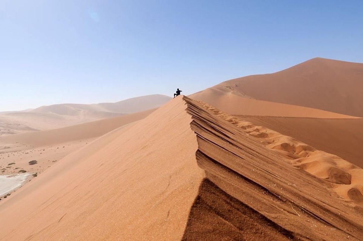 ナミビアといえば砂漠です！
枯れ木が広がるデッドフレイ、オリックスが砂漠を...