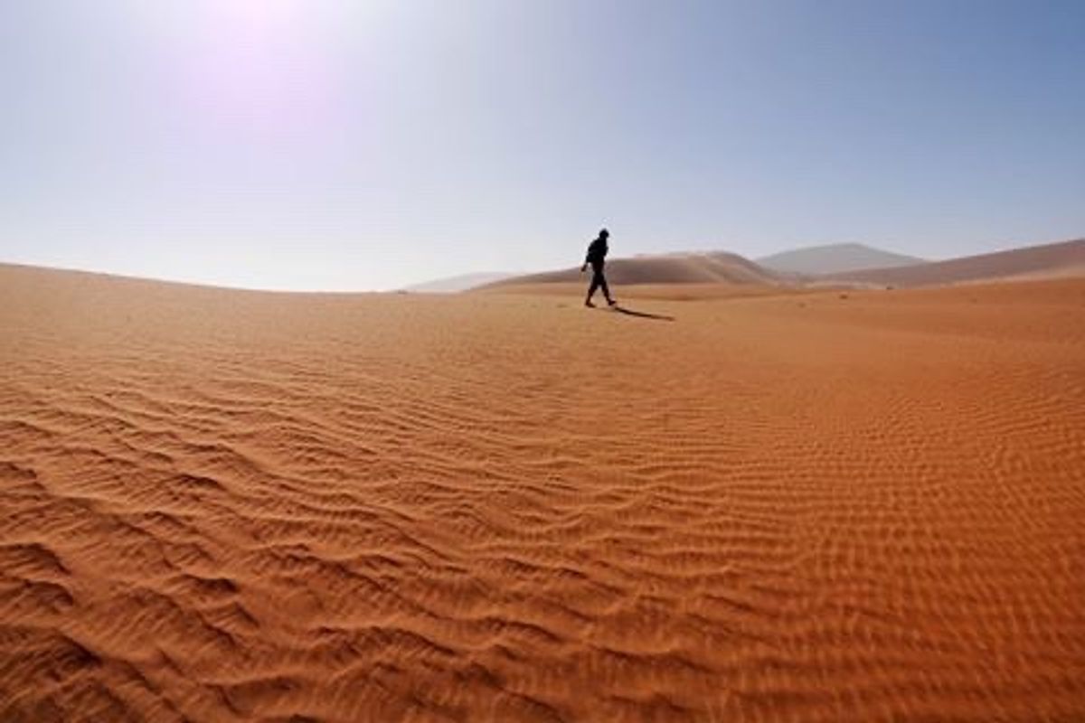 ナミビアといえば砂漠です！
枯れ木が広がるデッドフレイ、オリックスが砂漠を...